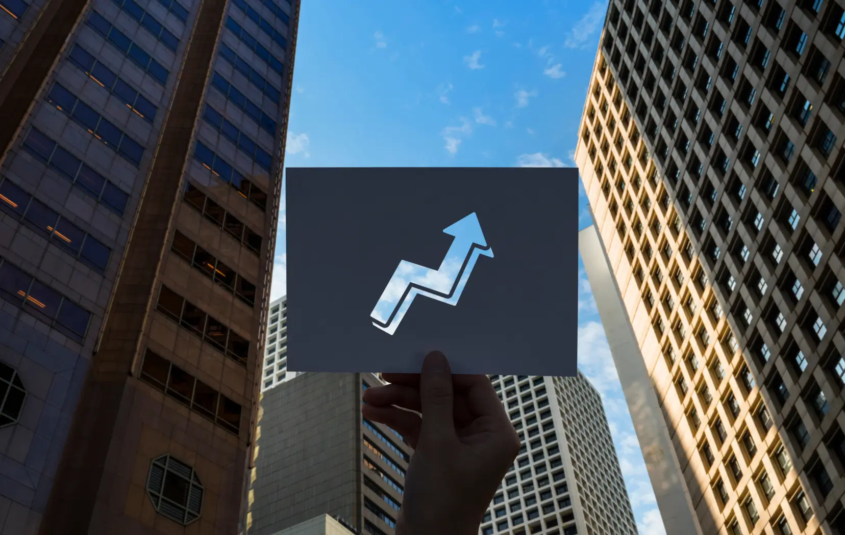 Strategies for Growing Firms